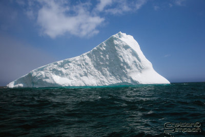 03319_nfld_ds.jpg