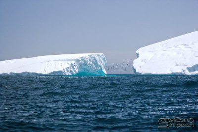 03336_nfld_ds.jpg