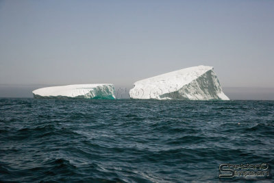 03341_nfld_ds.jpg