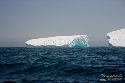 03347_nfld_ds.jpg