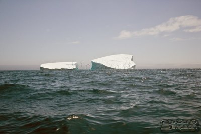 03350_nfld_ds.jpg
