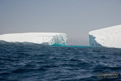 03356_nfld_ds.jpg