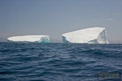 03358_nfld_ds.jpg