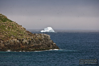 03615_nfld_ds.jpg