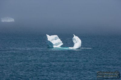 03693_nfld_ds.jpg
