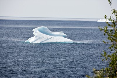 03704_nfld_ds.jpg