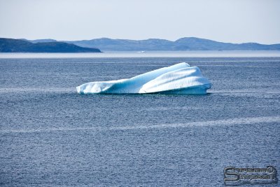03707_nfld_ds.jpg