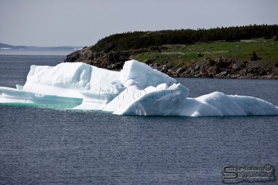 03711_nfld_ds.jpg