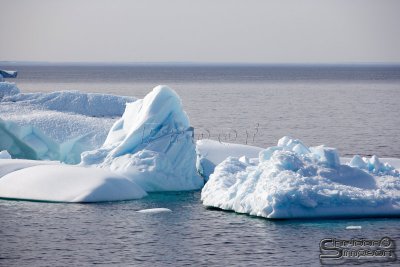 03713_nfld_ds.jpg