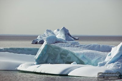 03714_nfld_ds.jpg