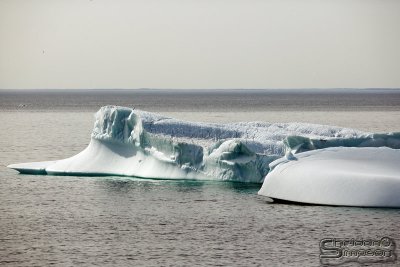 03716_nfld_ds.jpg