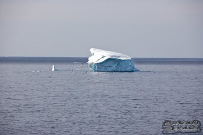 03718_nfld_ds.jpg
