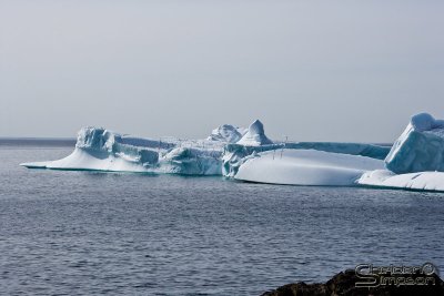 03724_nfld_ds.jpg