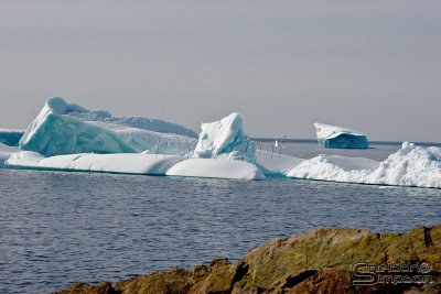03733_nfld_ds.jpg
