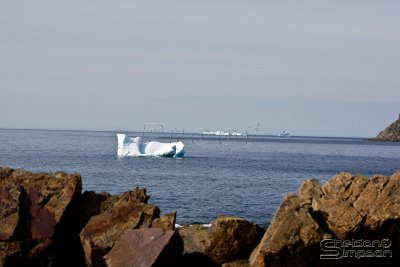 03737_nfld_ds.jpg