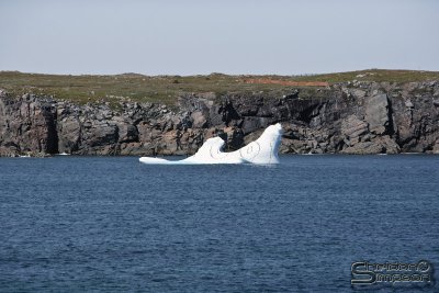 03852_nfld_ds.jpg