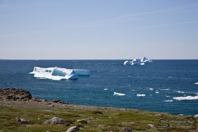 03898_nfld_ds.jpg