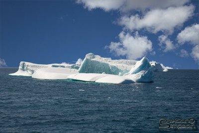 03908_nfld_ds-bk.jpg