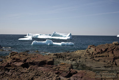 03924_nfld_ds.jpg