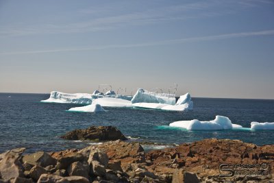 03938_nfld_ds.jpg