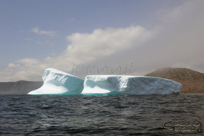 39447_nfld_1d.jpg