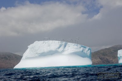 39460_nfld_1d.jpg