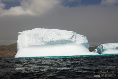 39467_nfld_1d.jpg