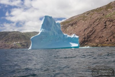 39542_nfld_1d.jpg