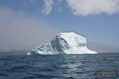 39580_nfld_1d.jpg