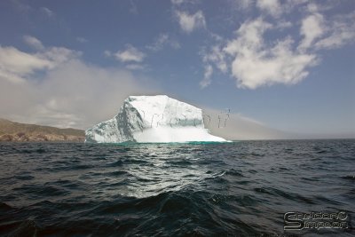 39604_nfld_1d.jpg