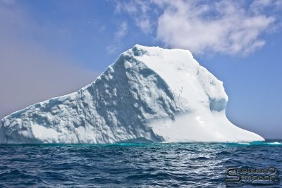 39607_nfld_1d.jpg