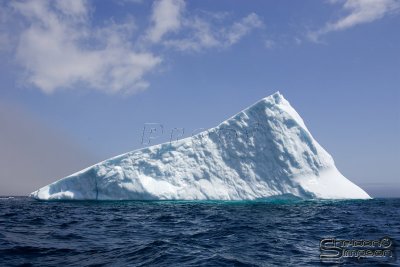 39614_nfld_1d.jpg