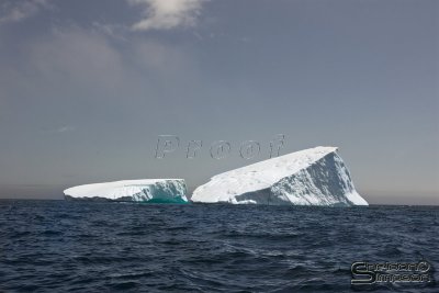 39626_nfld_1d.jpg