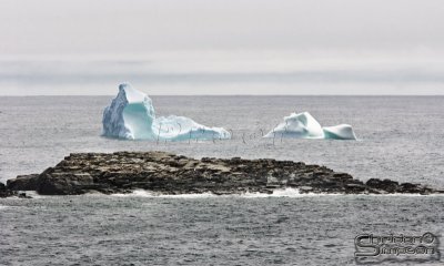 39701_nfld_1d.jpg