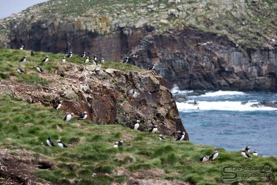 03587_nfld_ds.jpg