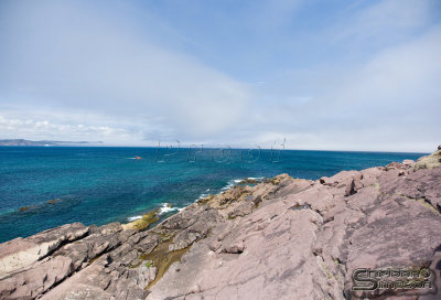 02989_nfld_ds.jpg