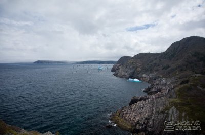 03029_nfld_ds.jpg