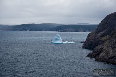 03036_nfld_ds.jpg