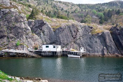 03129_nfld_ds.jpg