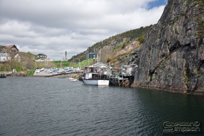 03131_nfld_ds.jpg