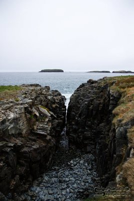 03584_nfld_ds.jpg