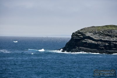 03676_nfld_ds.jpg