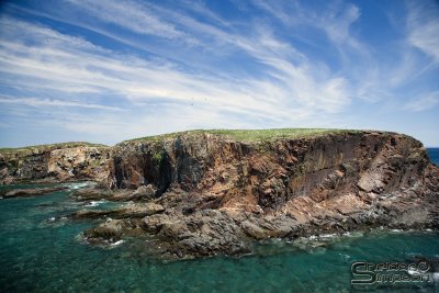 03779_nfld_ds.jpg