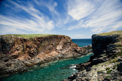 03783_nfld_ds.jpg