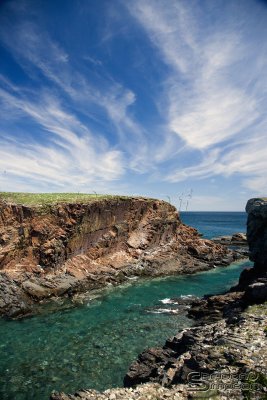 03786_nfld_ds.jpg