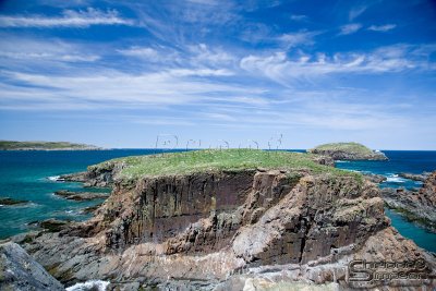 03798_nfld_ds.jpg