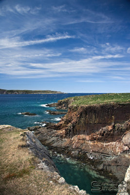 03806_nfld_ds.jpg