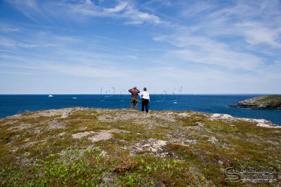 03824_nfld_ds.jpg