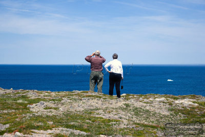 03825_nfld_ds.jpg