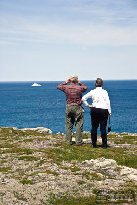 03826_nfld_ds.jpg